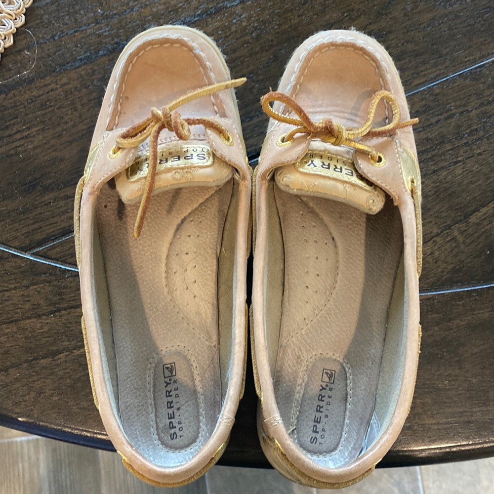 Moccasin